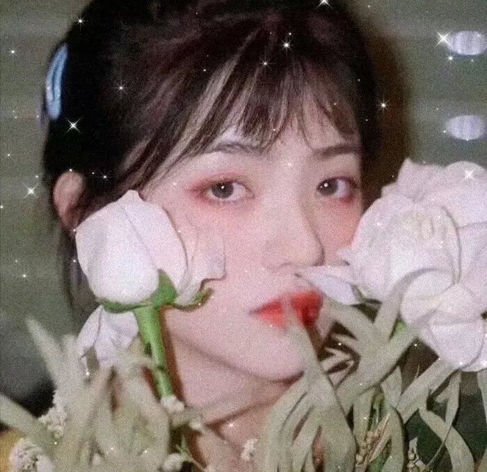 梦华录