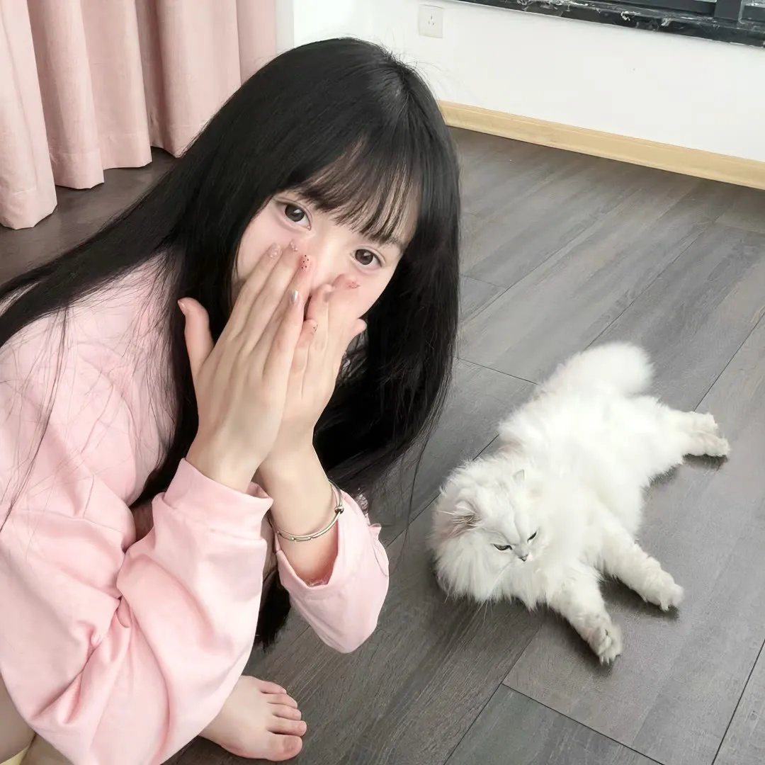 扫黑风暴